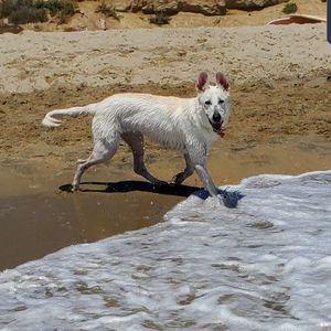 Meet your Posher, Johnny